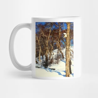 A Birds' House on Nikolskaya Hill, Petropavlovsk, Kamchatka, Russia. Mug